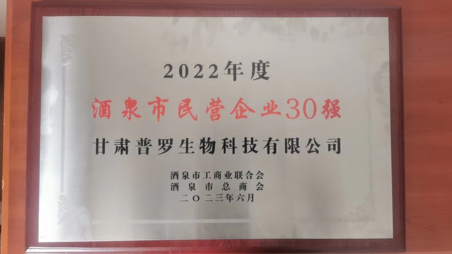 民營(yíng)企業(yè)30強(qiáng)