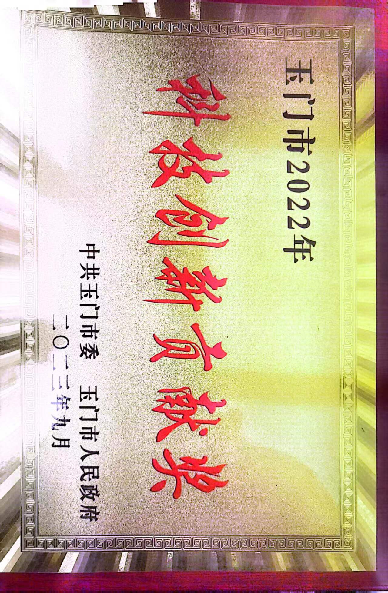 科技創(chuàng)新貢獻(xiàn)獎(jiǎng)